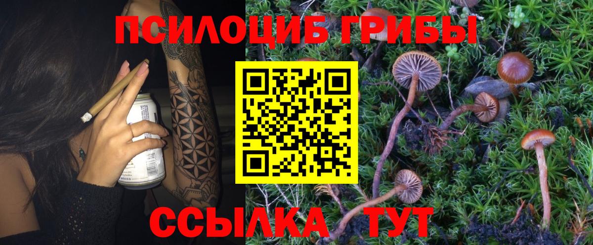 Галлюциногенные грибы мицелий Будённовск